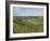 Poppies and Vineyards Along Border of Luxembourg and Germany, River Moselle (Mosel), Germany-James Emmerson-Framed Photographic Print