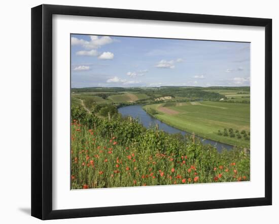 Poppies and Vineyards Along Border of Luxembourg and Germany, River Moselle (Mosel), Germany-James Emmerson-Framed Photographic Print