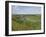 Poppies and Vineyards Along Border of Luxembourg and Germany, River Moselle (Mosel), Germany-James Emmerson-Framed Photographic Print