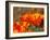 Poppies, Antelope Valley Near Lancaster, California, Usa-Jamie & Judy Wild-Framed Photographic Print