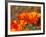 Poppies, Antelope Valley Near Lancaster, California, Usa-Jamie & Judy Wild-Framed Photographic Print