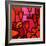 Poppies Apples Wine and Fish-John Nolan-Framed Giclee Print