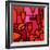 Poppies Apples Wine and Fish-John Nolan-Framed Giclee Print