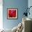 Poppies Apples Wine and Fish-John Nolan-Framed Giclee Print displayed on a wall