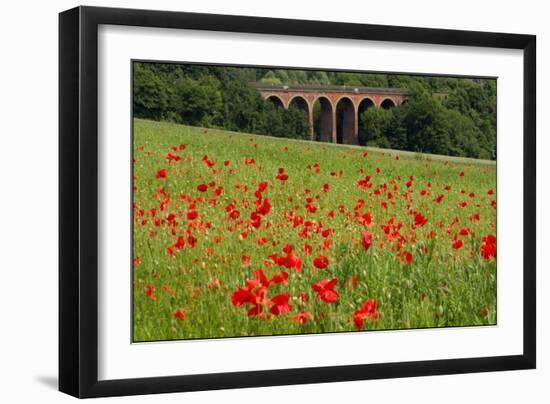 Poppies at Eynsford-Adrian Campfield-Framed Photographic Print