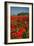 Poppies at Palazzo Massaini-Michael Blanchette-Framed Photographic Print