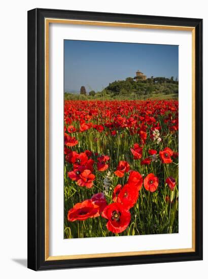 Poppies at Palazzo Massaini-Michael Blanchette-Framed Photographic Print