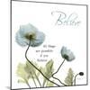 Poppies Believe-Albert Koetsier-Mounted Photographic Print