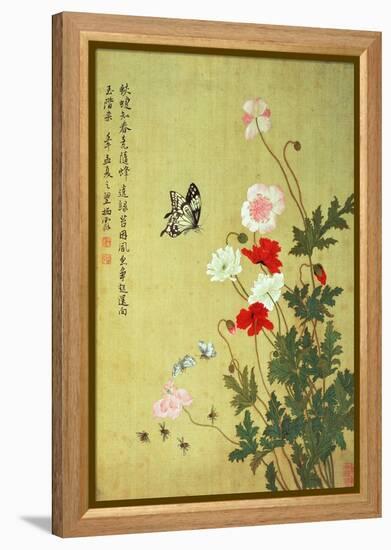 Poppies, Butterflies and Bees-Ma Yuanyu-Framed Premier Image Canvas