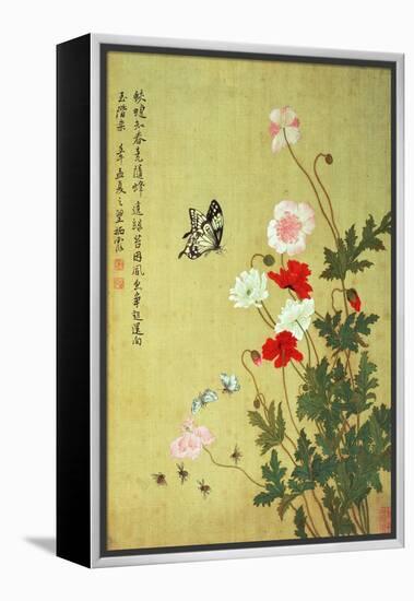 Poppies, Butterflies and Bees-Ma Yuanyu-Framed Premier Image Canvas