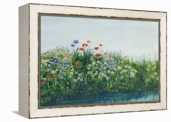 Poppies by a Stream-Andrew Nicholl-Framed Premier Image Canvas