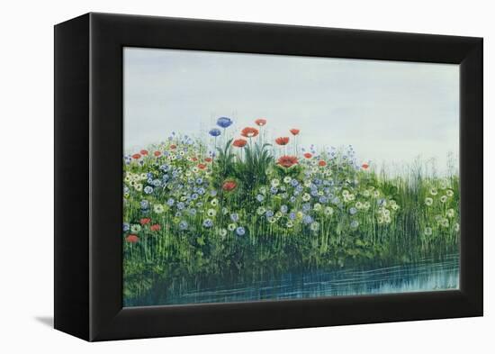 Poppies by a Stream-Andrew Nicholl-Framed Premier Image Canvas