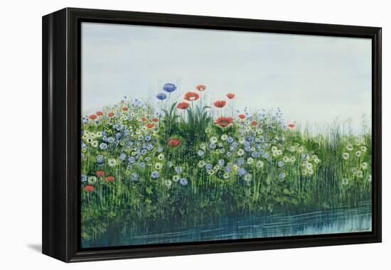 Poppies by a Stream-Andrew Nicholl-Framed Premier Image Canvas