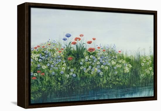 Poppies by a Stream-Andrew Nicholl-Framed Premier Image Canvas