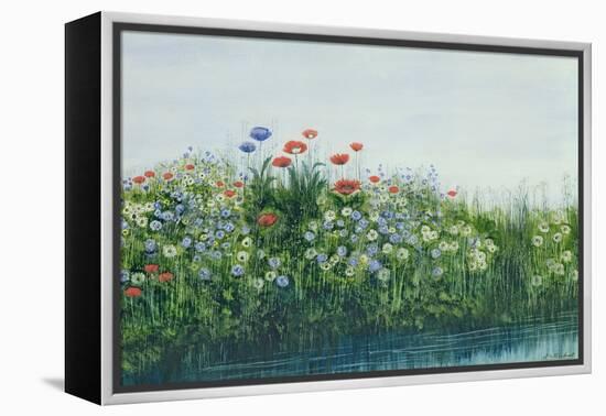 Poppies by a Stream-Andrew Nicholl-Framed Premier Image Canvas