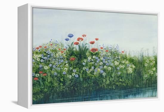 Poppies by a Stream-Andrew Nicholl-Framed Premier Image Canvas