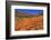 Poppies, Chino Hills State Park, California, United States of America, North America-Richard Cummins-Framed Photographic Print