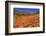 Poppies, Chino Hills State Park, California, United States of America, North America-Richard Cummins-Framed Photographic Print