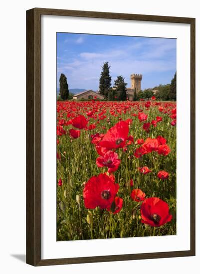 Poppies Close and Personal-Michael Blanchette-Framed Photographic Print