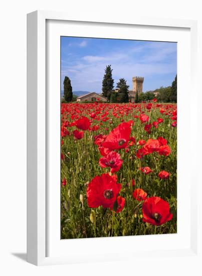 Poppies Close and Personal-Michael Blanchette-Framed Photographic Print