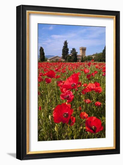 Poppies Close and Personal-Michael Blanchette-Framed Photographic Print