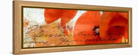 Poppies Composition III-Patricia Pinto-Framed Stretched Canvas