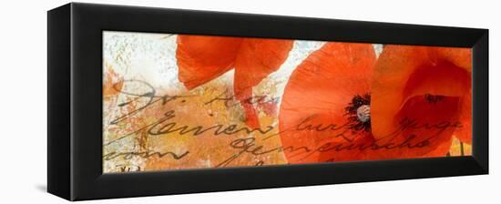 Poppies Composition III-Patricia Pinto-Framed Stretched Canvas