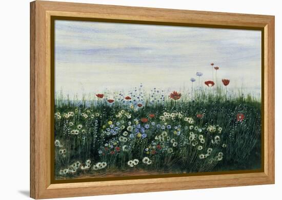 Poppies, Daisies and Other Flowers by the Sea-Andrew Nicholl-Framed Premier Image Canvas