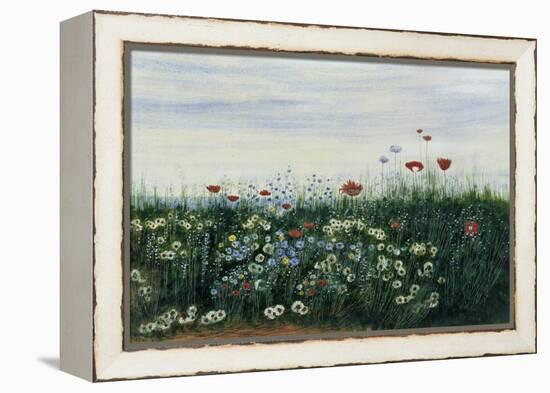 Poppies, Daisies and Other Flowers by the Sea-Andrew Nicholl-Framed Premier Image Canvas