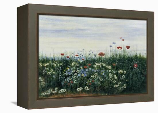 Poppies, Daisies and Other Flowers by the Sea-Andrew Nicholl-Framed Premier Image Canvas