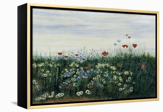 Poppies, Daisies and Other Flowers by the Sea-Andrew Nicholl-Framed Premier Image Canvas