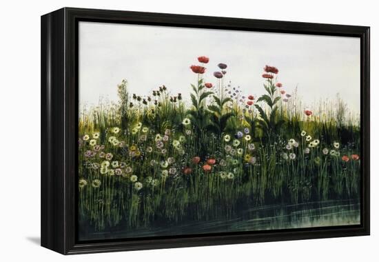 Poppies, Daisies and Thistles on a River Bank-Andrew Nicholl-Framed Premier Image Canvas