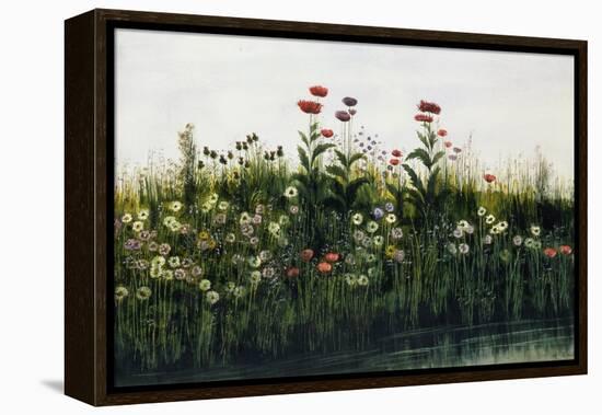 Poppies, Daisies and Thistles on a River Bank-Andrew Nicholl-Framed Premier Image Canvas