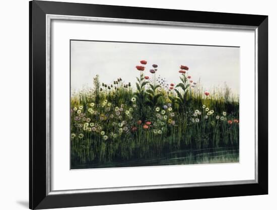 Poppies, Daisies and Thistles on a River Bank-Andrew Nicholl-Framed Giclee Print