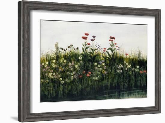 Poppies, Daisies and Thistles on a River Bank-Andrew Nicholl-Framed Giclee Print