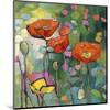 Poppies Galore-Karen Mathison Schmidt-Mounted Art Print