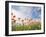 Poppies, Highland of Castelluccio Di Norcia, Norcia, Umbria, Italy, Europe-Angelo Cavalli-Framed Photographic Print