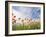 Poppies, Highland of Castelluccio Di Norcia, Norcia, Umbria, Italy, Europe-Angelo Cavalli-Framed Photographic Print