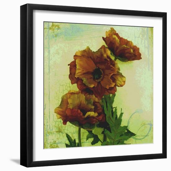 Poppies I-Herb Dickinson-Framed Photographic Print