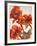 Poppies II-Joyce H^ Kamikura-Framed Giclee Print