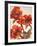 Poppies II-Joyce H^ Kamikura-Framed Giclee Print