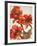 Poppies II-Joyce H^ Kamikura-Framed Giclee Print