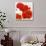 Poppies II-Luca Villa-Art Print displayed on a wall