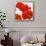 Poppies II-Luca Villa-Framed Art Print displayed on a wall