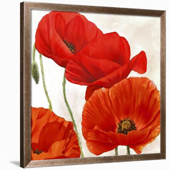 Poppies II-Luca Villa-Framed Art Print