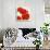 Poppies II-Luca Villa-Framed Art Print displayed on a wall