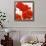 Poppies II-Luca Villa-Framed Art Print displayed on a wall