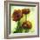 Poppies II-Herb Dickinson-Framed Photographic Print