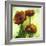 Poppies II-Herb Dickinson-Framed Photographic Print