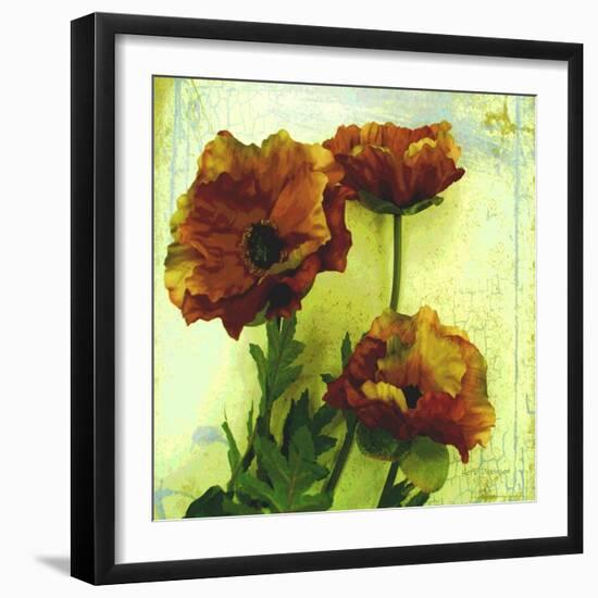 Poppies II-Herb Dickinson-Framed Photographic Print